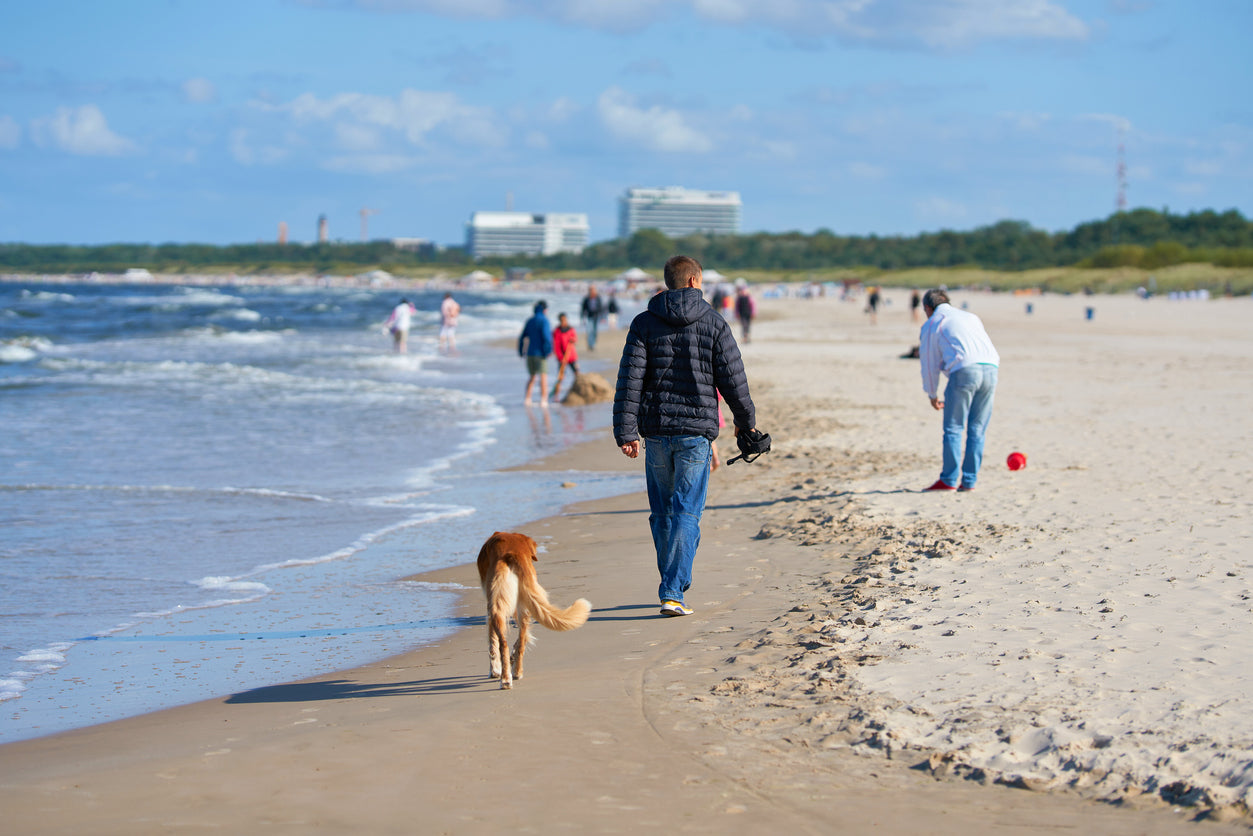 Fun Beach Cleanup Day with your dog