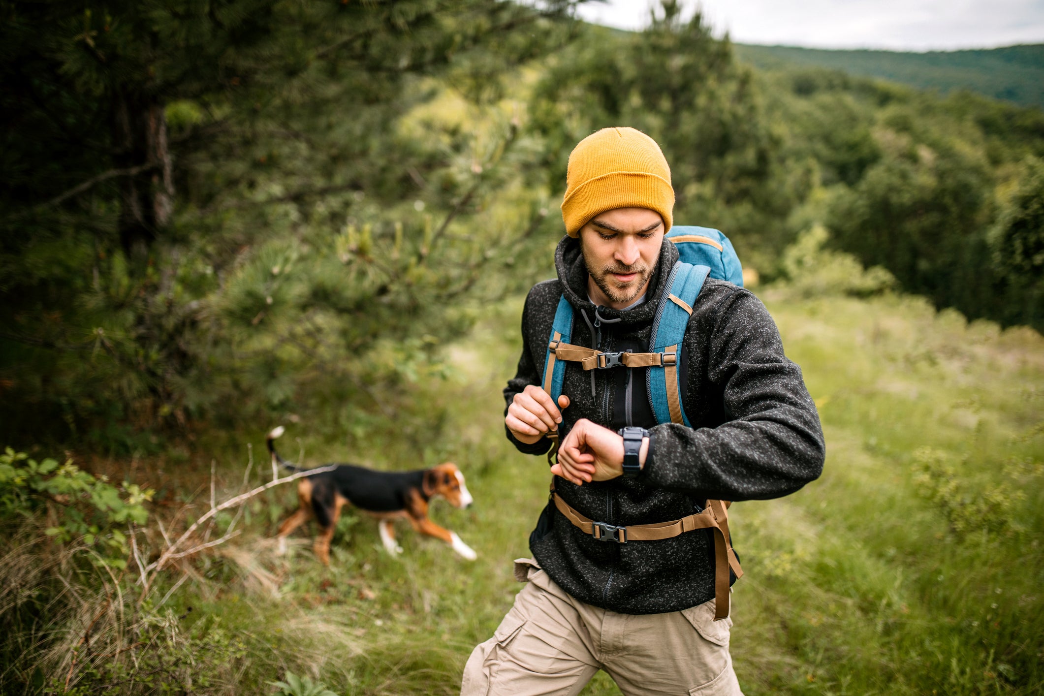 Top 5 Benefits of Hiking with Your Dog