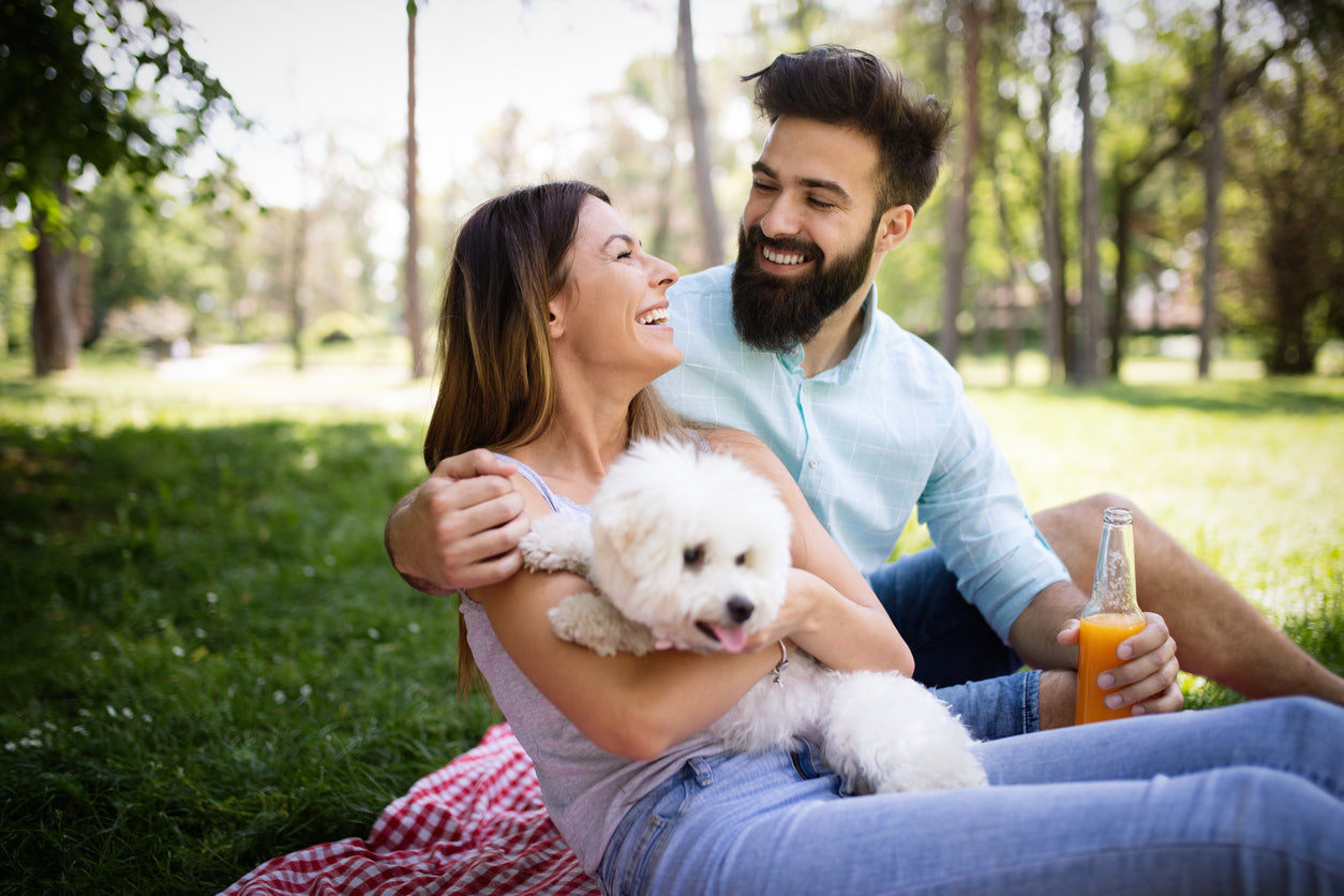 Ensuring The Best Care of Your Dog: Tips and Tricks