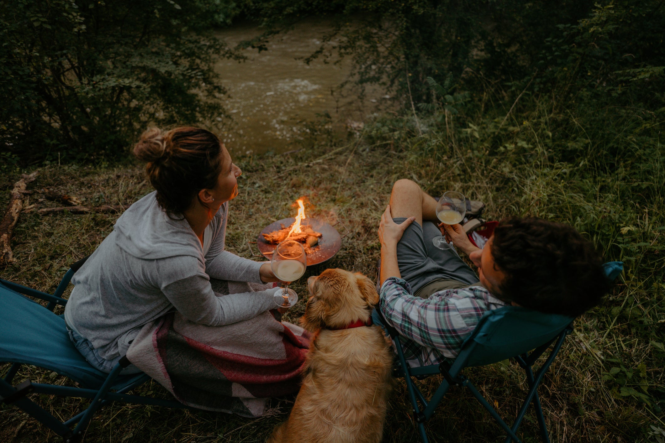 Essential Camping Gear for Canines