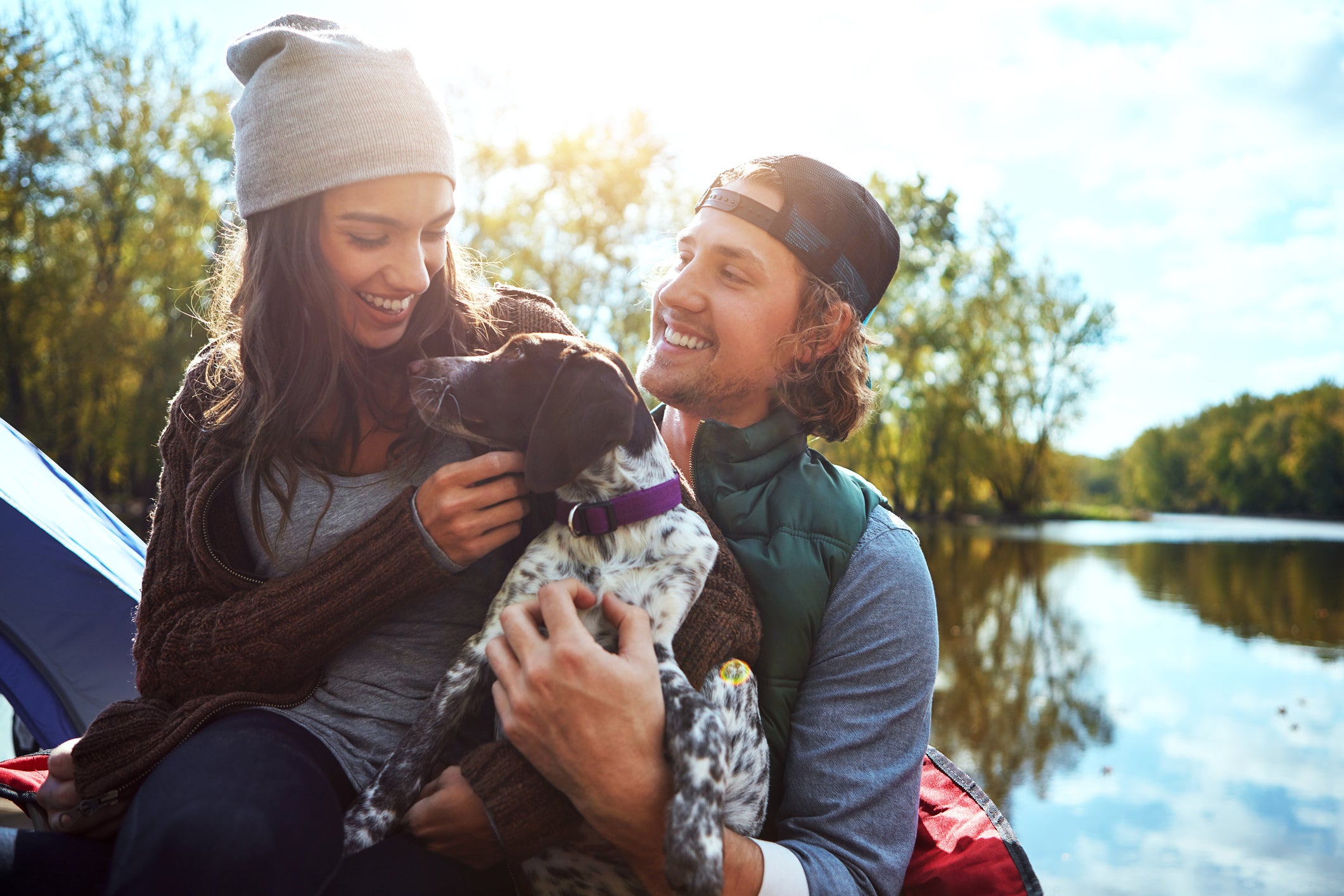 8 Tips for Camping With Dogs