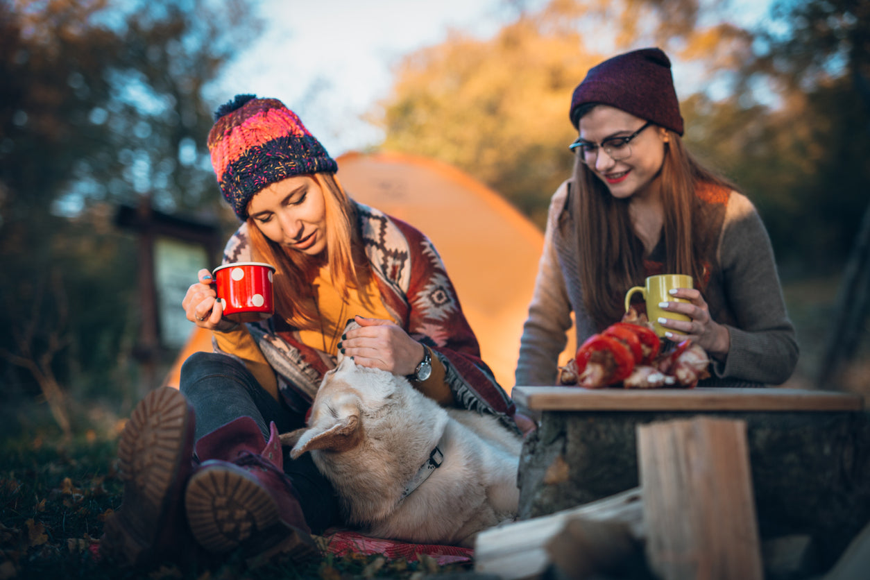 8 Essentials for Camping with Pet Dogs