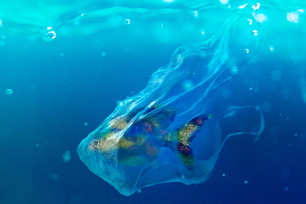 Innovative Ways to Clean Up the Oceans