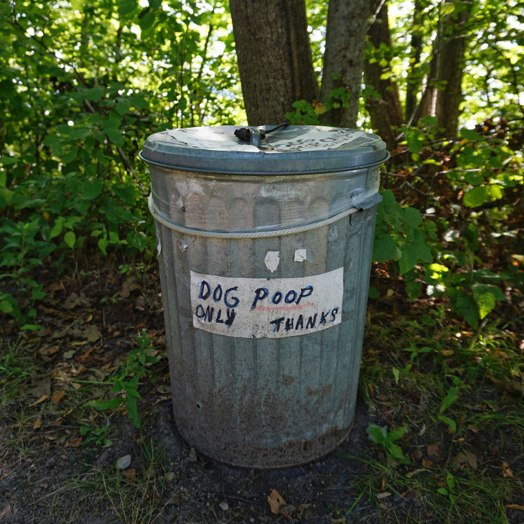 Cleaning Up after Your Dog Responsibly