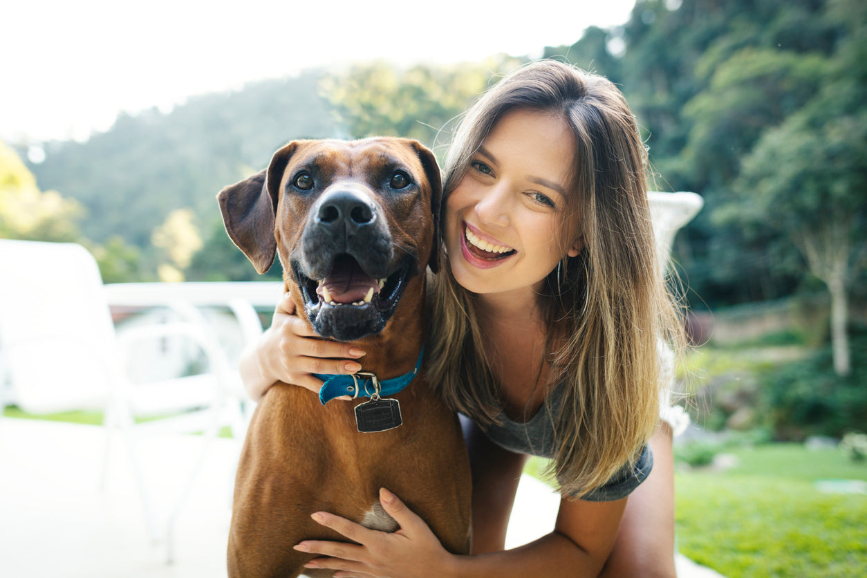 11 Commands Your Dog Should Know