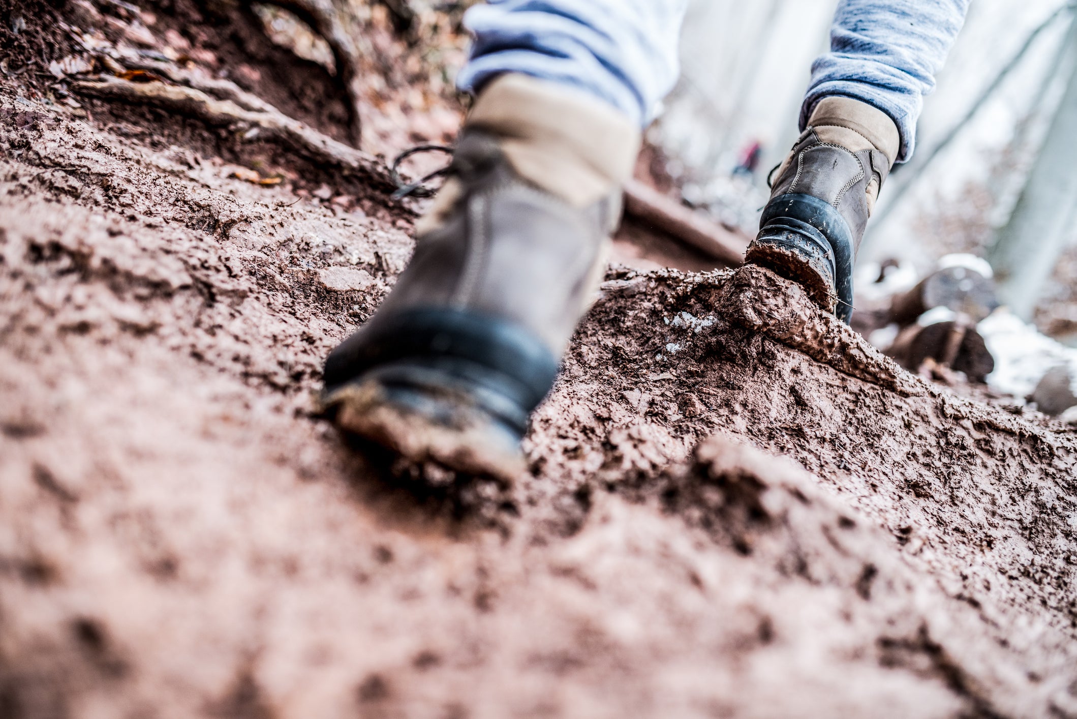 Hiking With Dogs: Common Trail Dangers to Look Out For