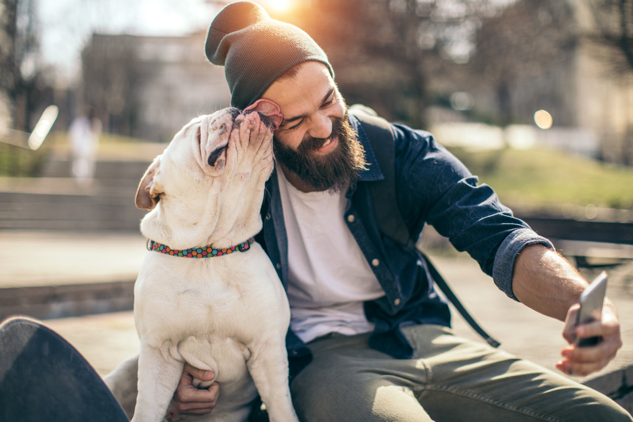 6 Reasons Why Dogs are the Best Friends We All Need!