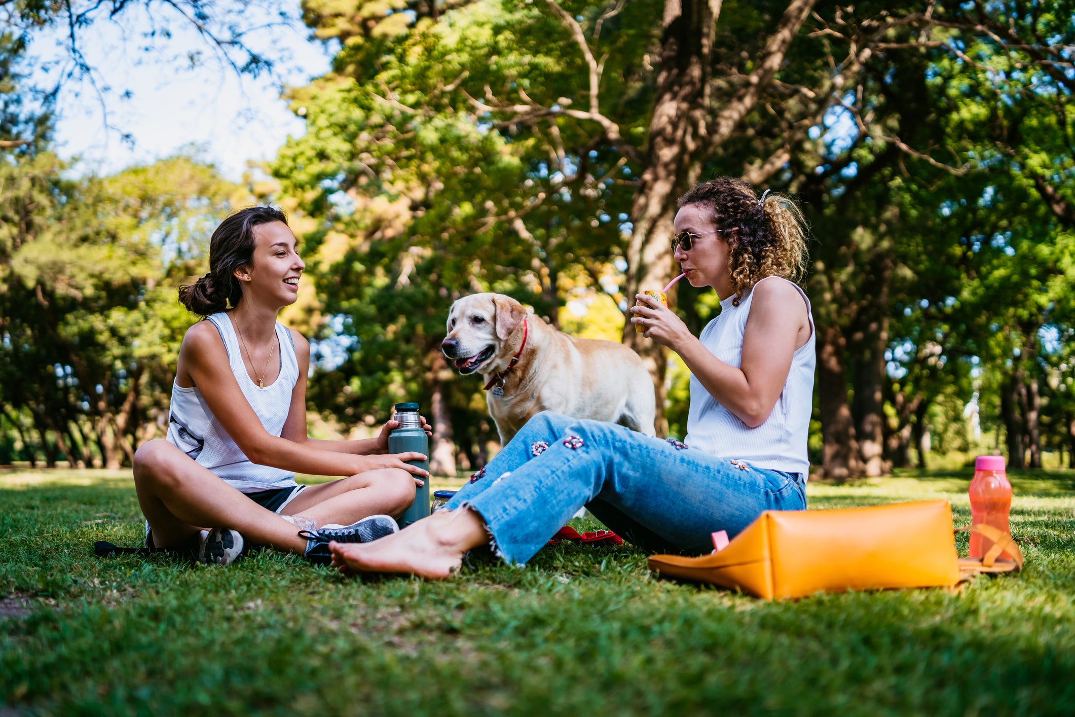 How to Keep Your Neighborhood Dog Park Clean