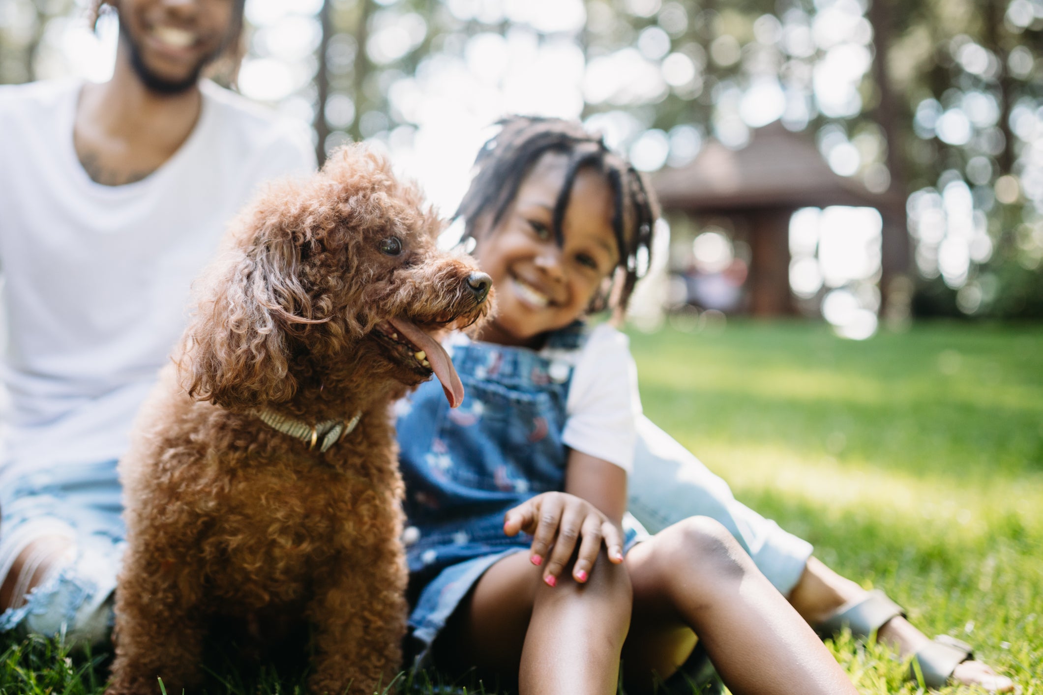 Ensuring Dog Safety in a Park