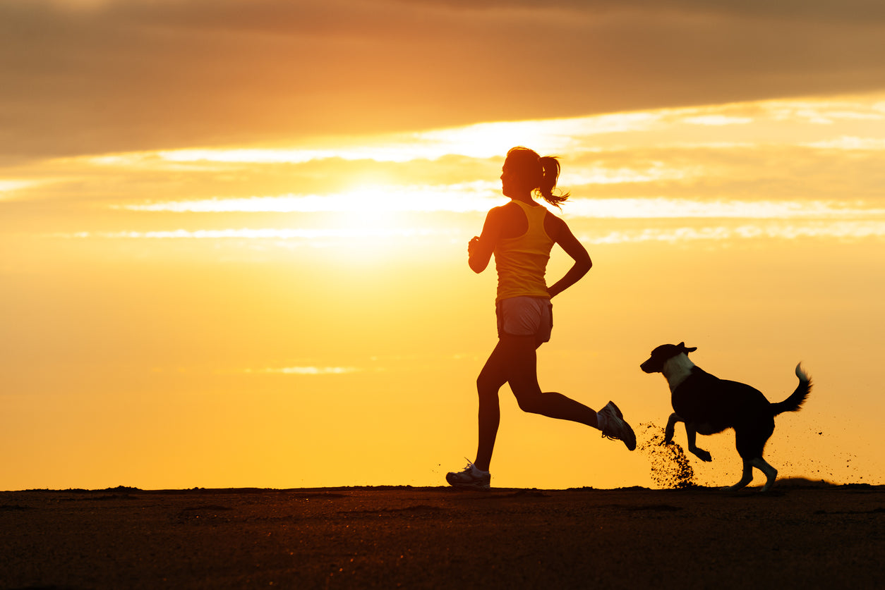 Ways in Which Your Dog is Keeping You Fit and Healthy