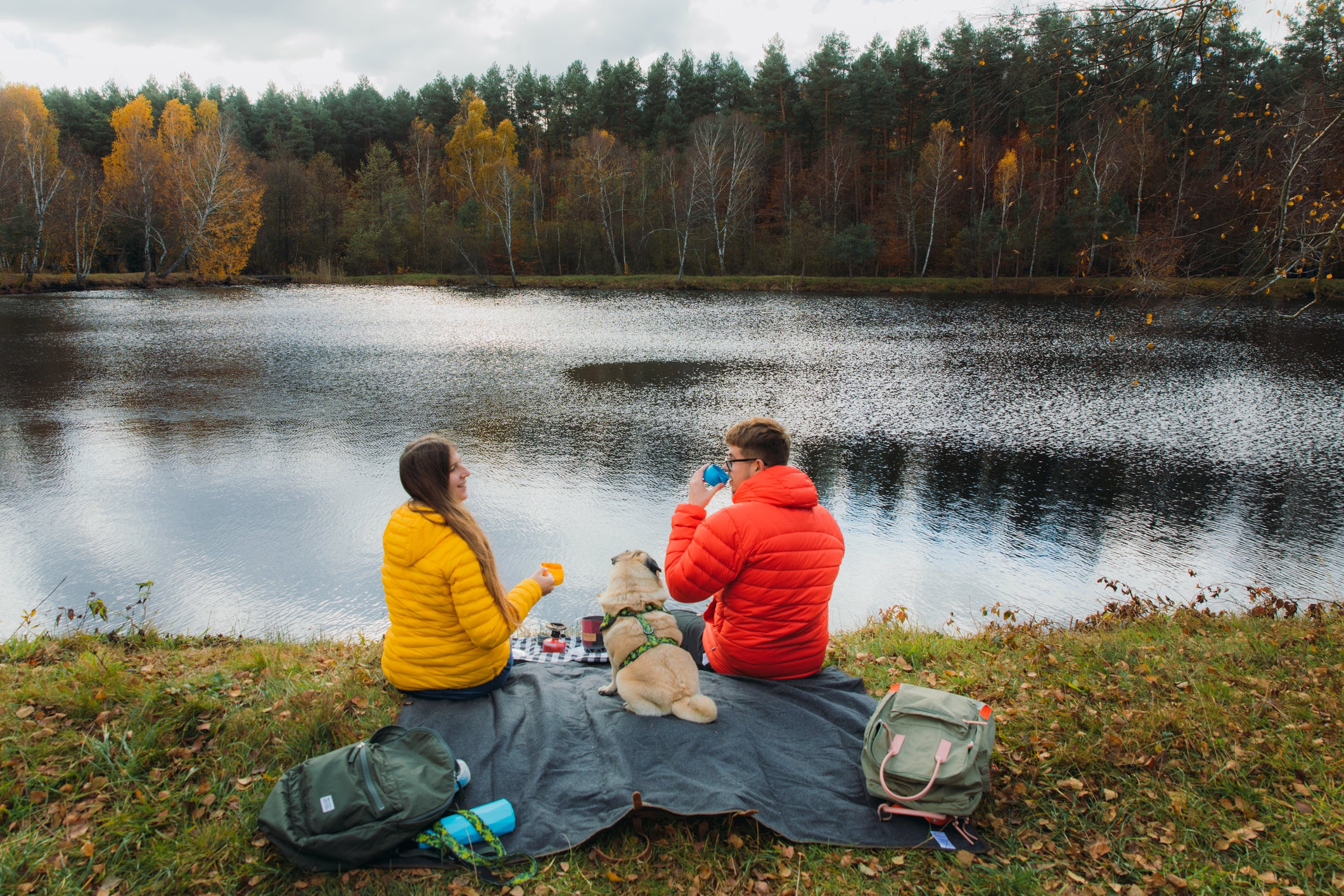 Hiking With Dogs: 6 Breeds That Make Great Trail Partners