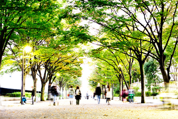 What Are "Green Streets," and How Do They Work?