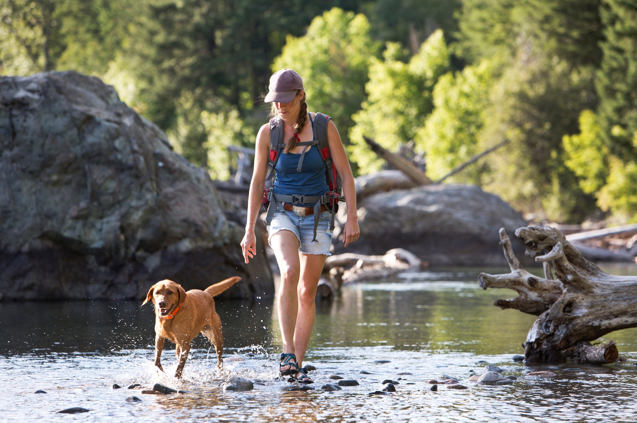 7 Reasons Why Hiking With Small Dogs Is Better