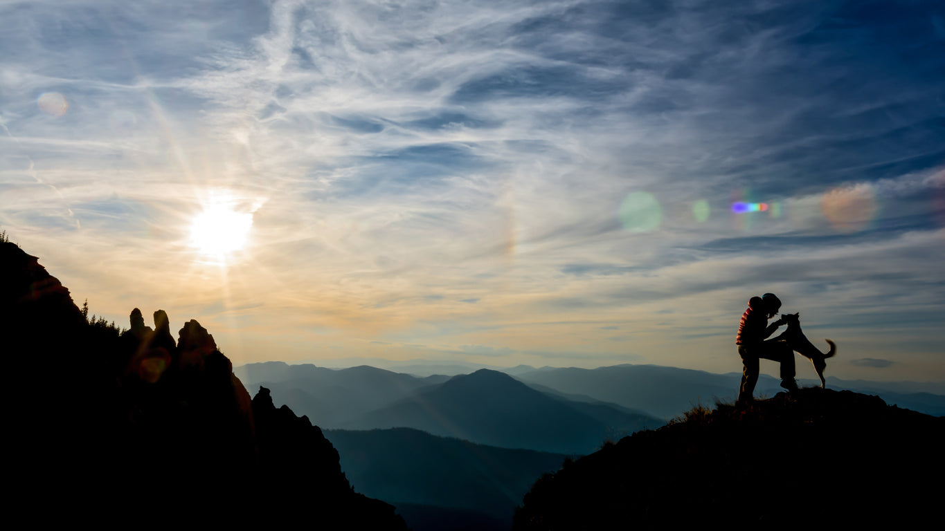 7 Basic Tips to Enjoy a Day of Hiking With Your Dog