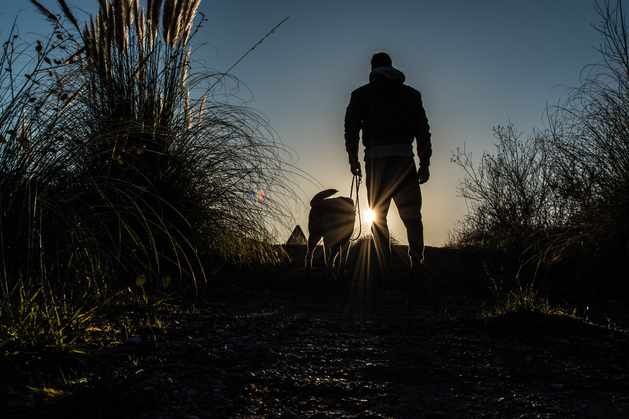 Tips for Hiking Safely in the Dark – Night Hiking