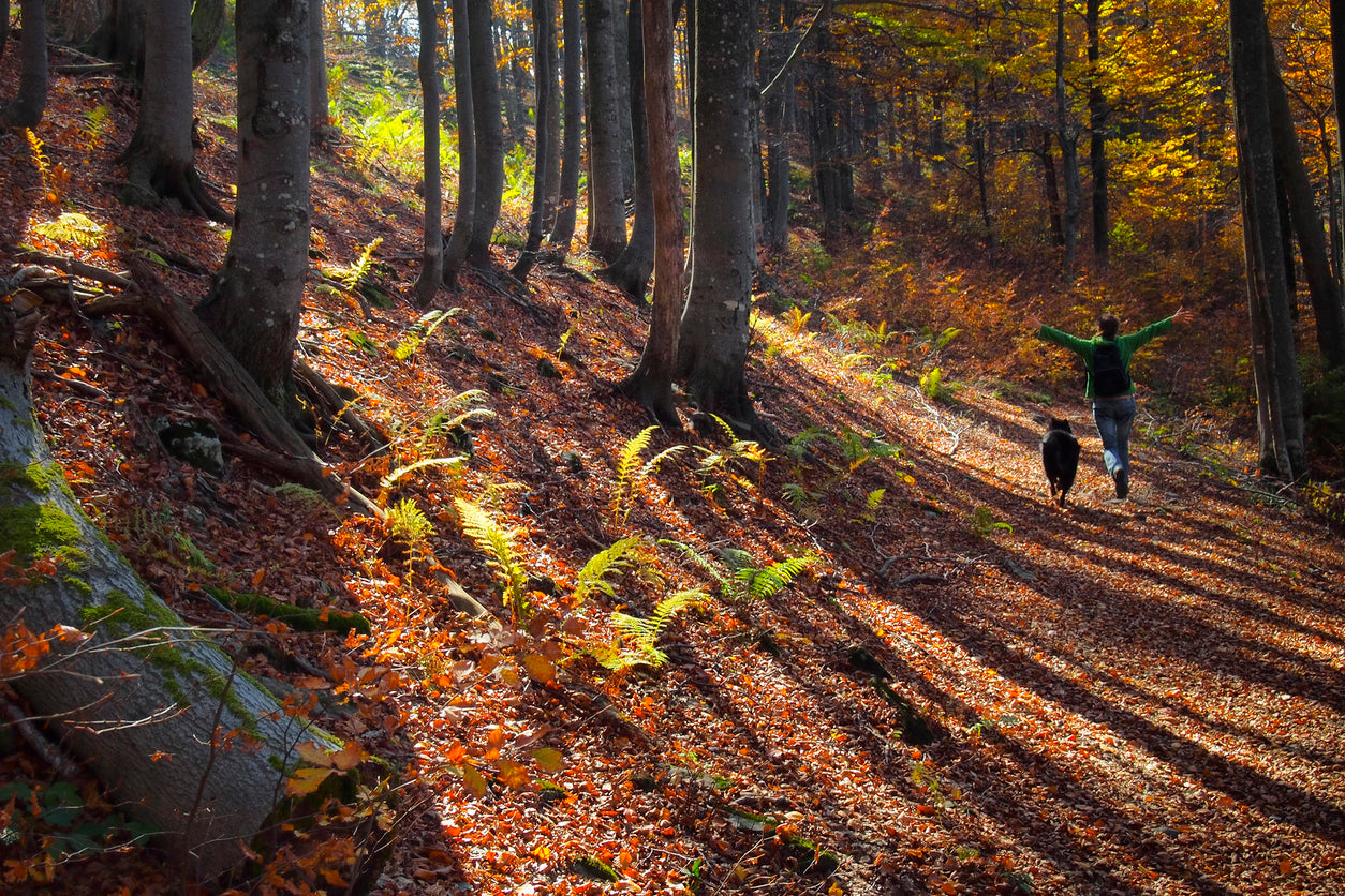 Taking Care of Hiking Trail With a Dog