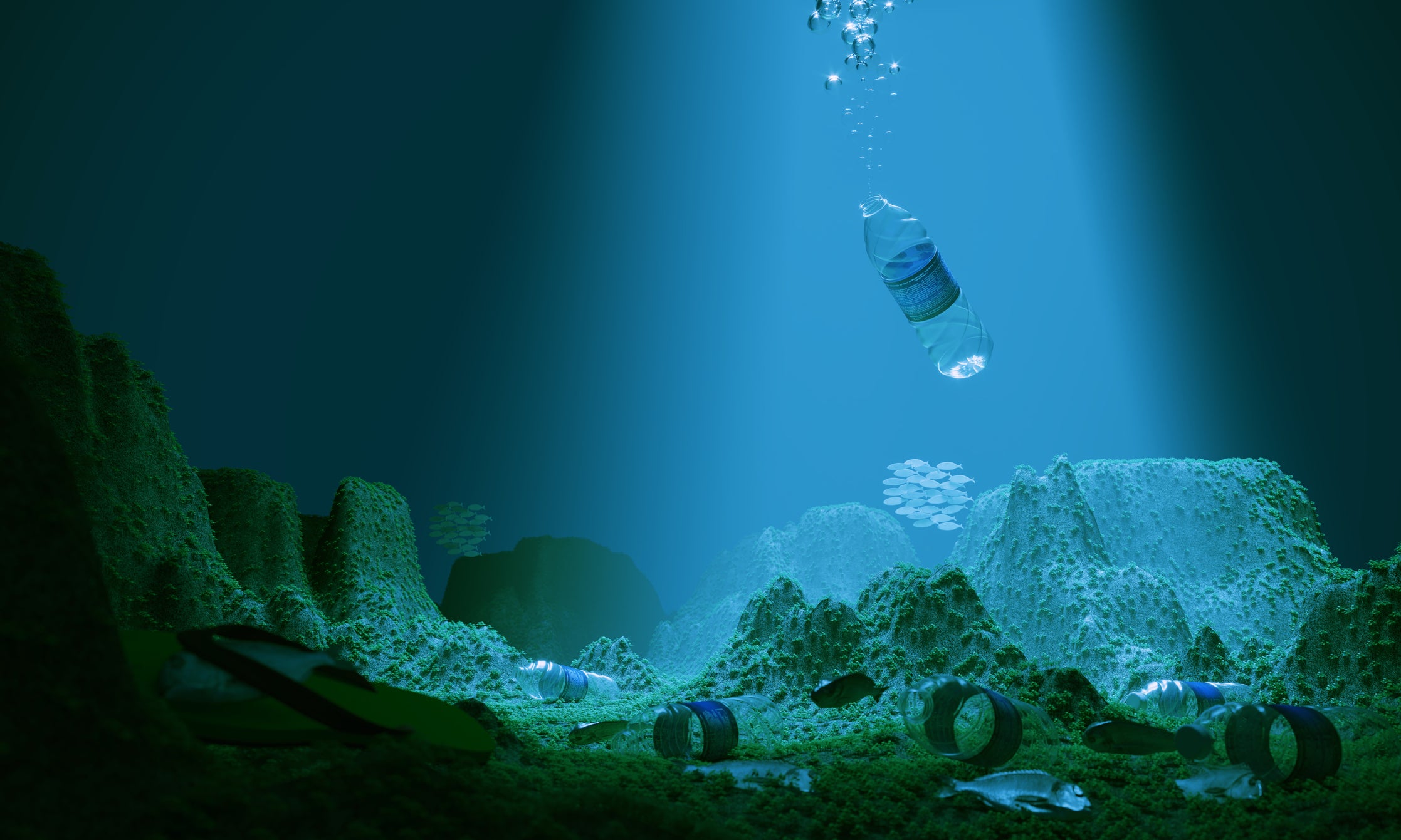 Here’s How Ocean Trash Is Killing Marine Life