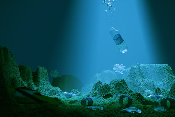 Here’s How Ocean Trash Is Killing Marine Life