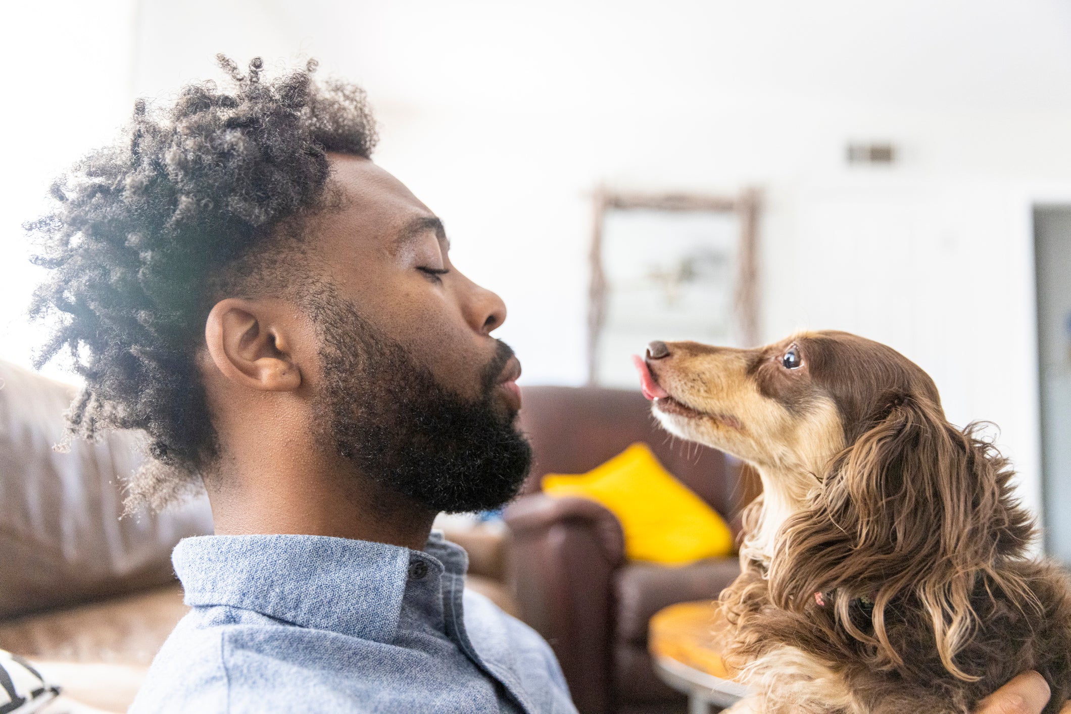 Man’s Best Friend: Dogs vs. Other Pets?
