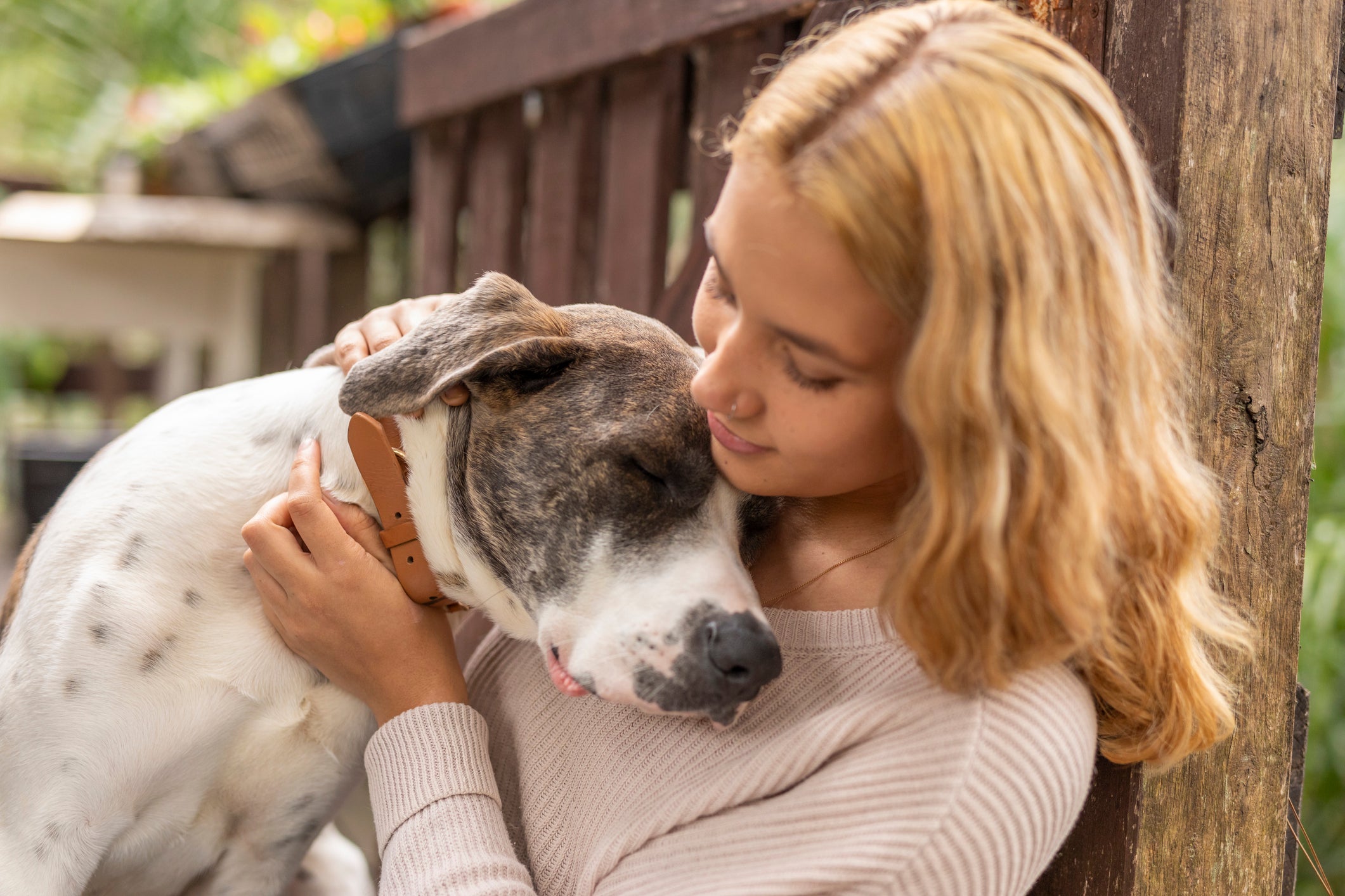 Dogs and Mental Health: What You Need To Know