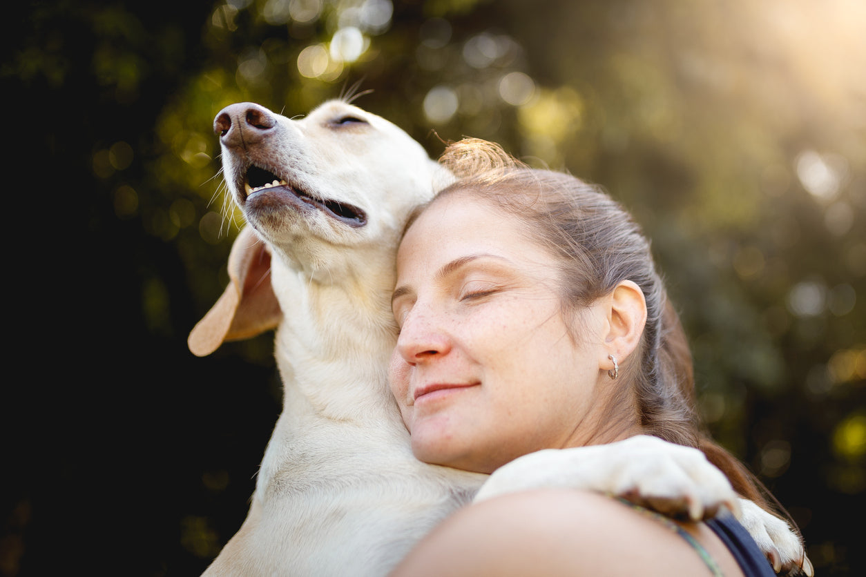 Top 5 Outdoor Dangers for Dogs