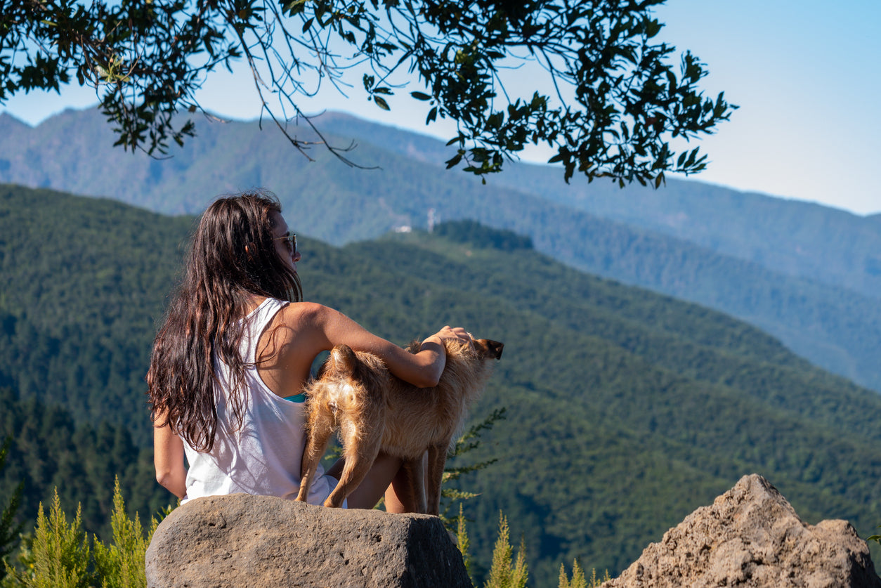 8 Dog Breeds that Make Perfect Partners for Outdoor Adventures
