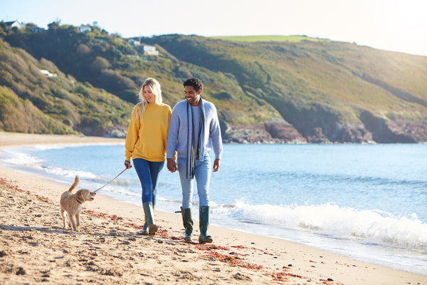 6 Safety Tips for Taking Your Pup to the Beach