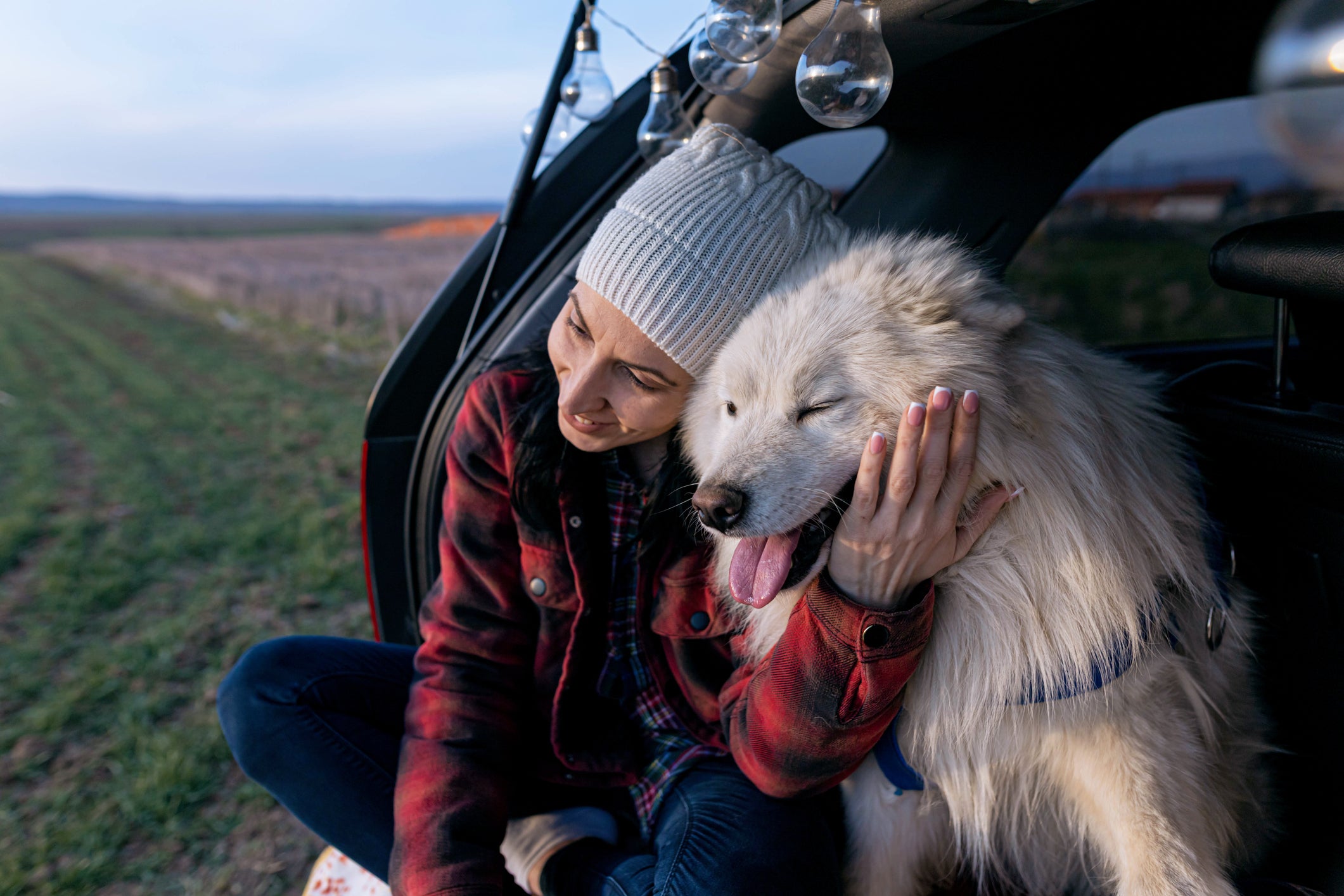 7 Spectacular Spitz Breeds