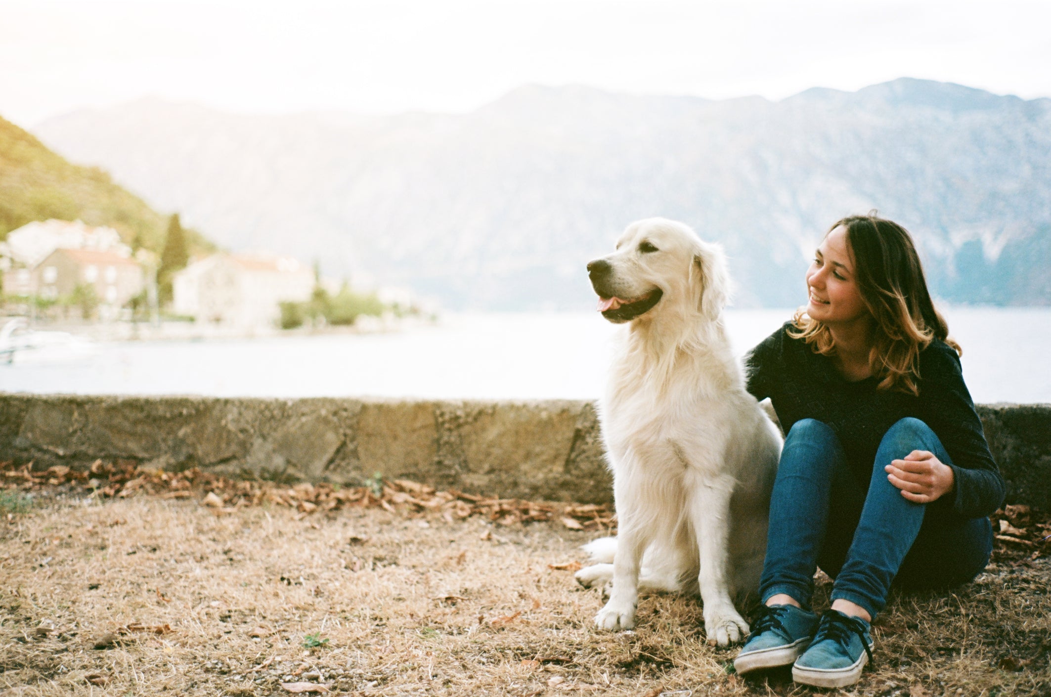 Taking Care of a Senior Dog: A Brief Guide
