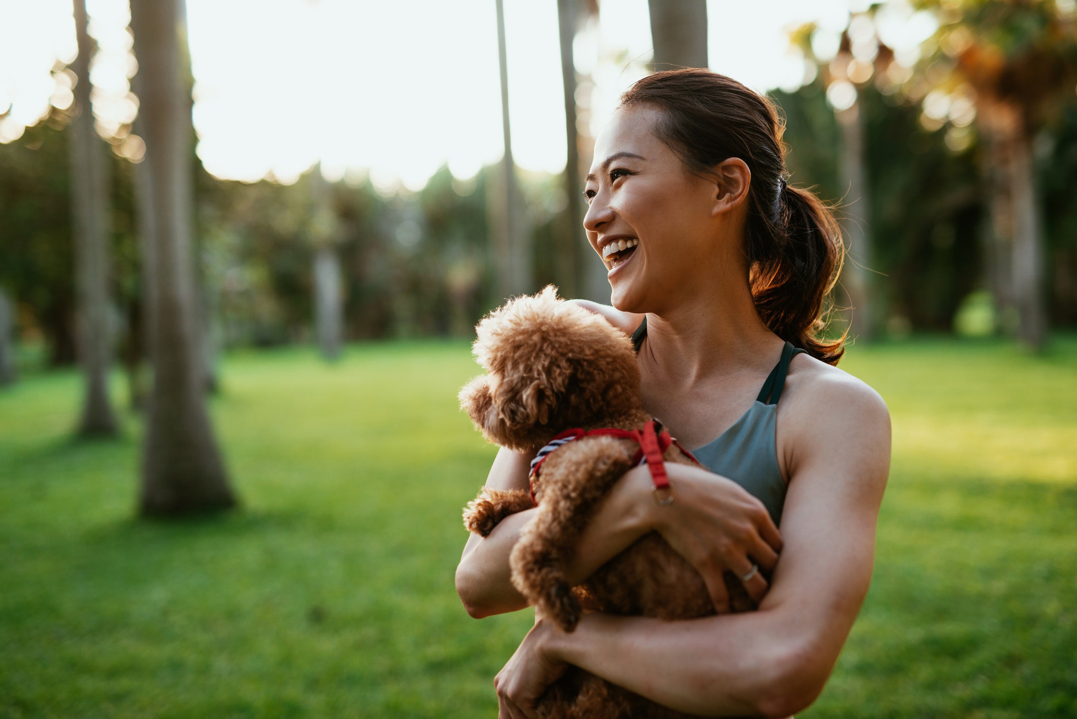 11 Tips for Taking a Dog to a Park