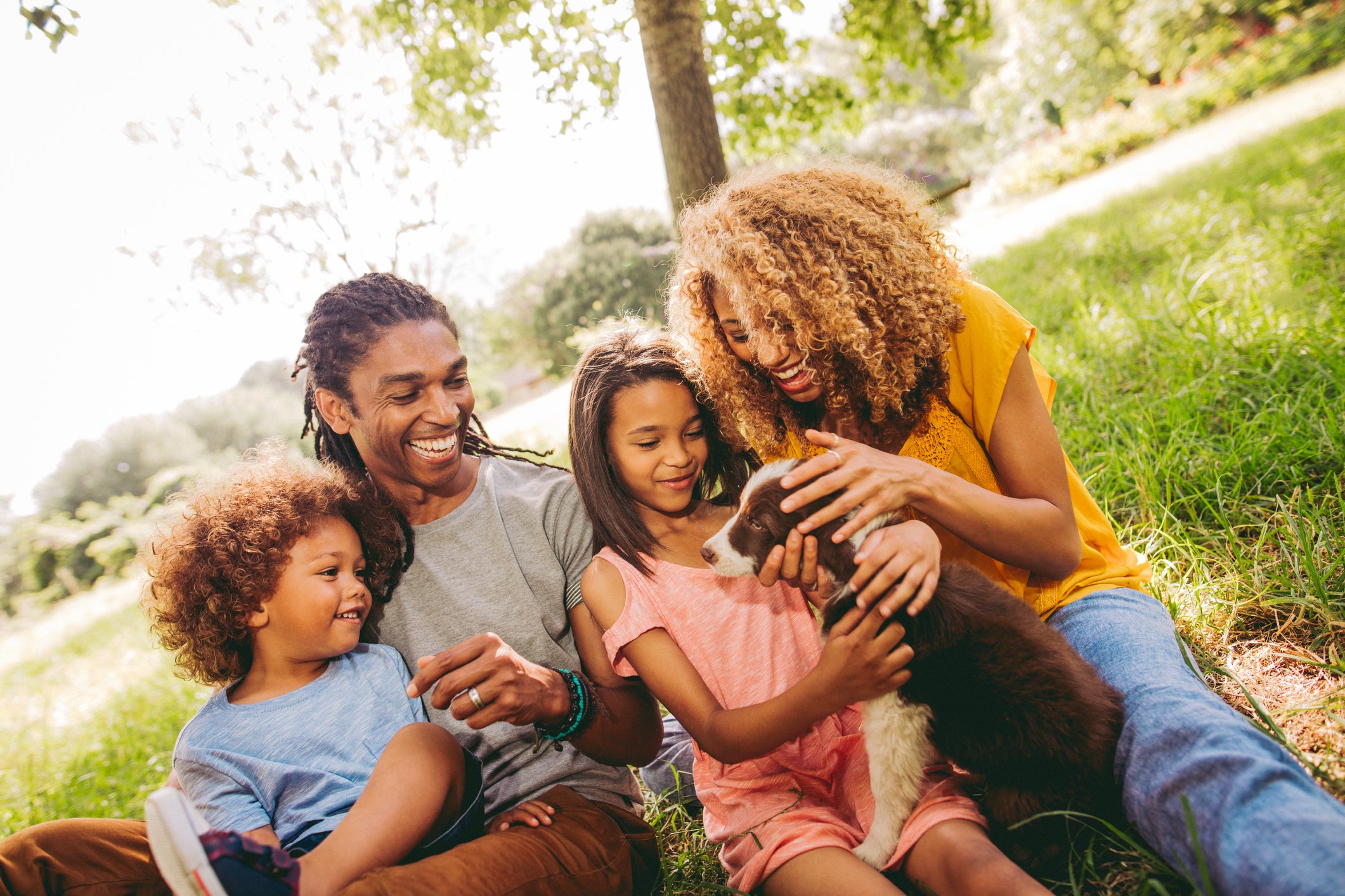 What Are the Top 10 Dog Products You Should Own?