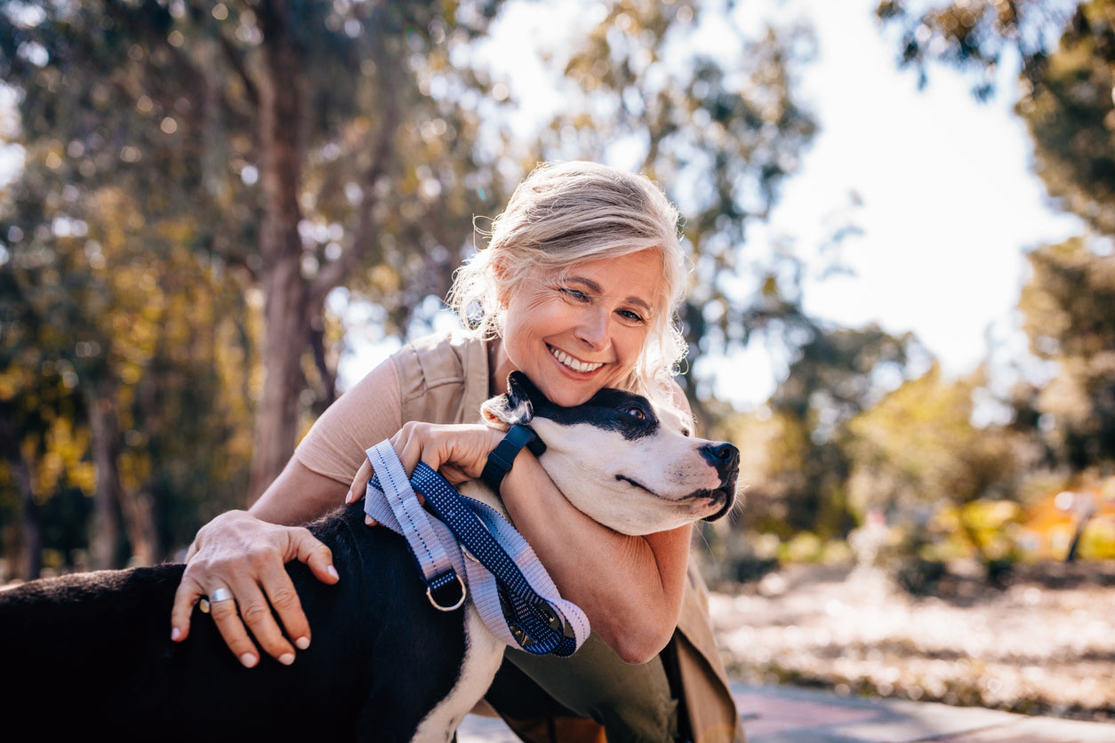 How to Train Your Dog for Hiking