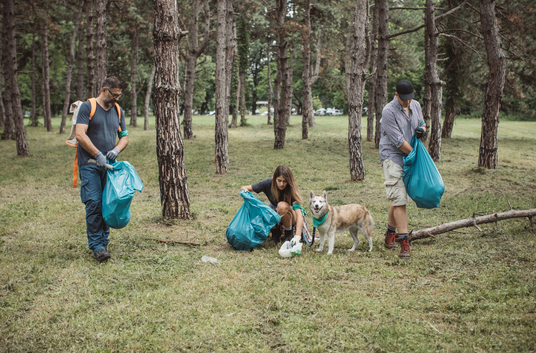 How to Train Your Dog to Pick Up Plastic Trash