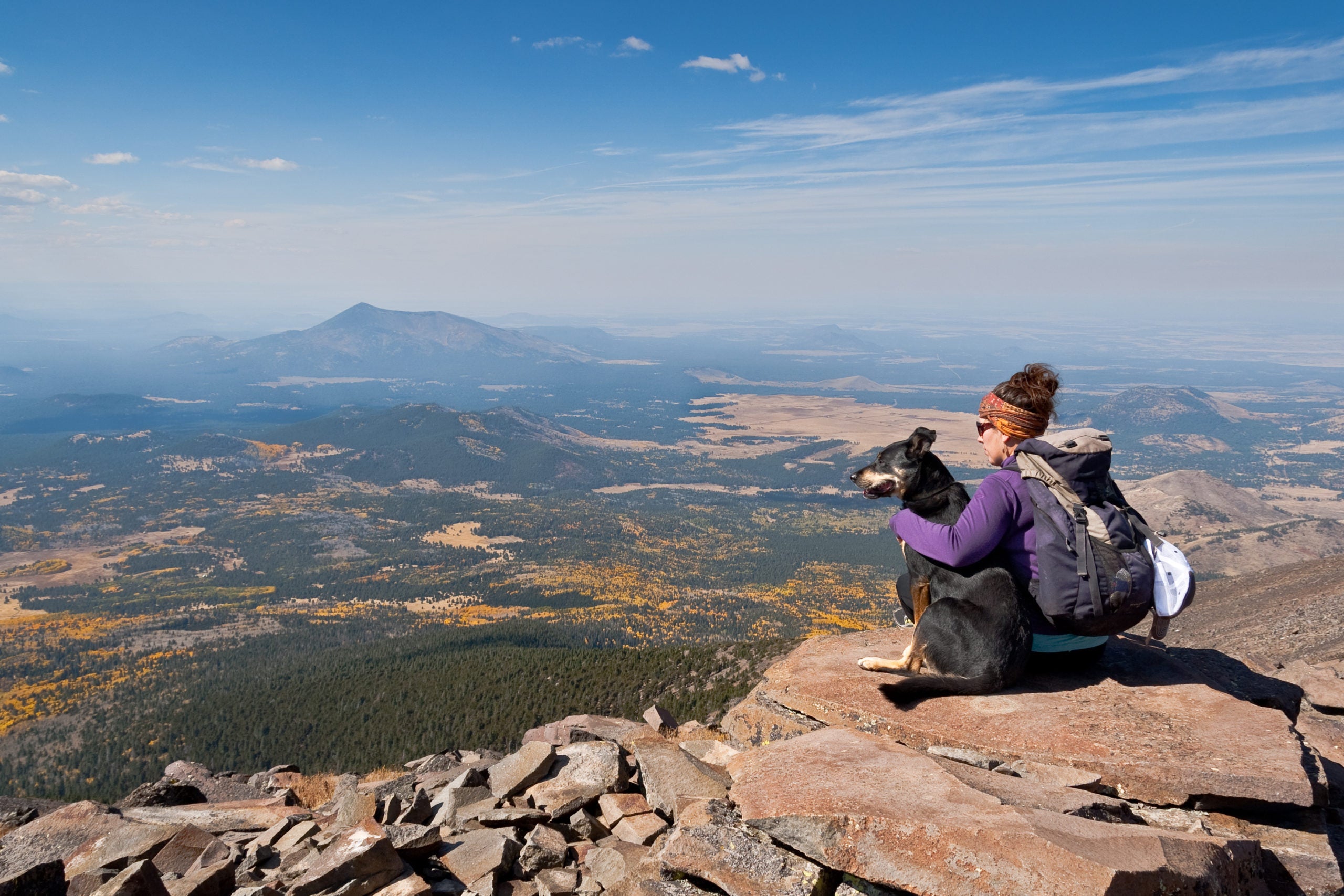 What Gear Does Your Dog Need For Hiking?