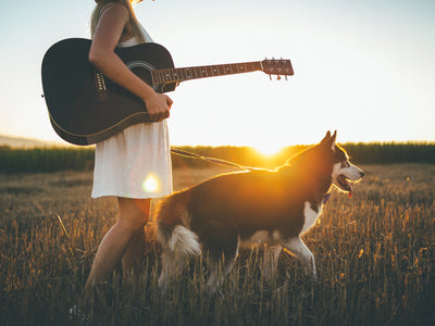 Leashes + Leads