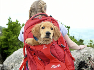 Backpacks