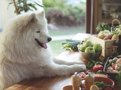 Grain Free Dog Treats