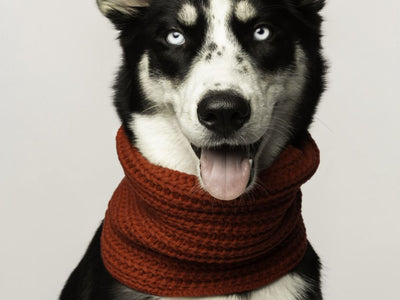 Scarfs