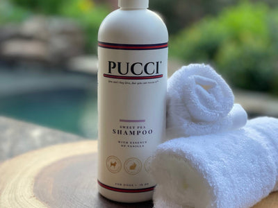 Shampoo