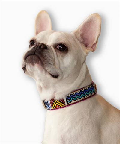 Artisan Kamsa Dog Collar