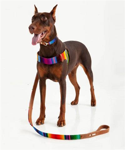 Artisan Maya Dog Leash