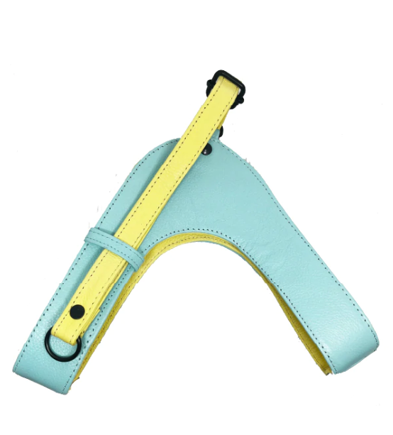 Baby Blue Lemon Dog Harness