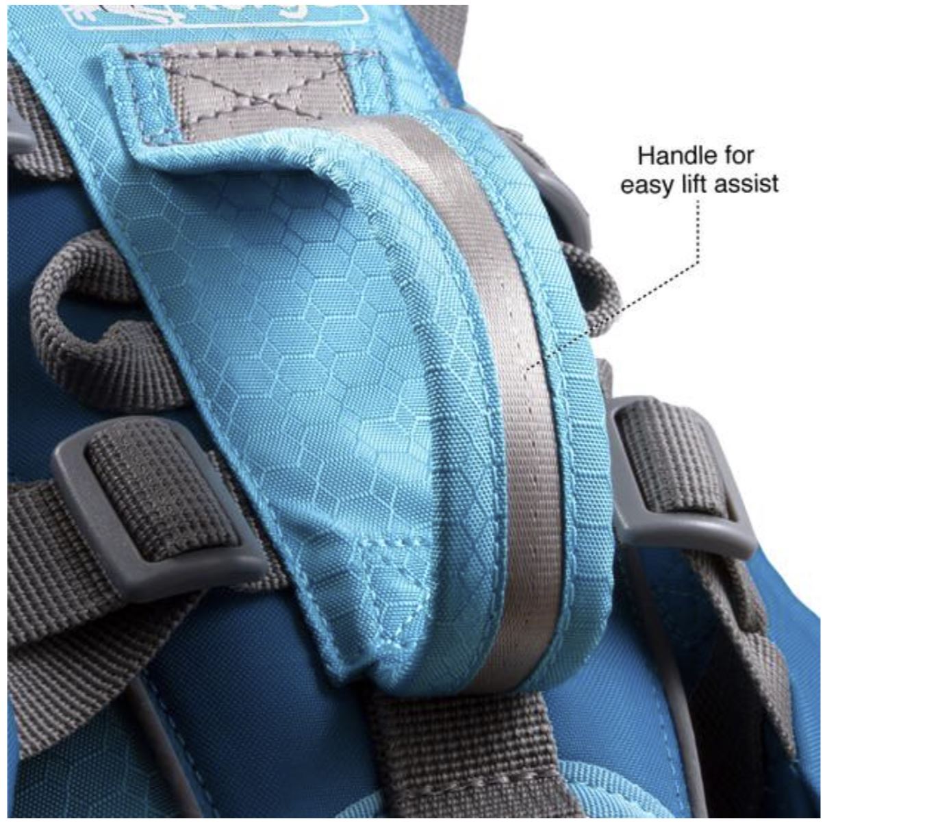 Baxter Dog Backpack