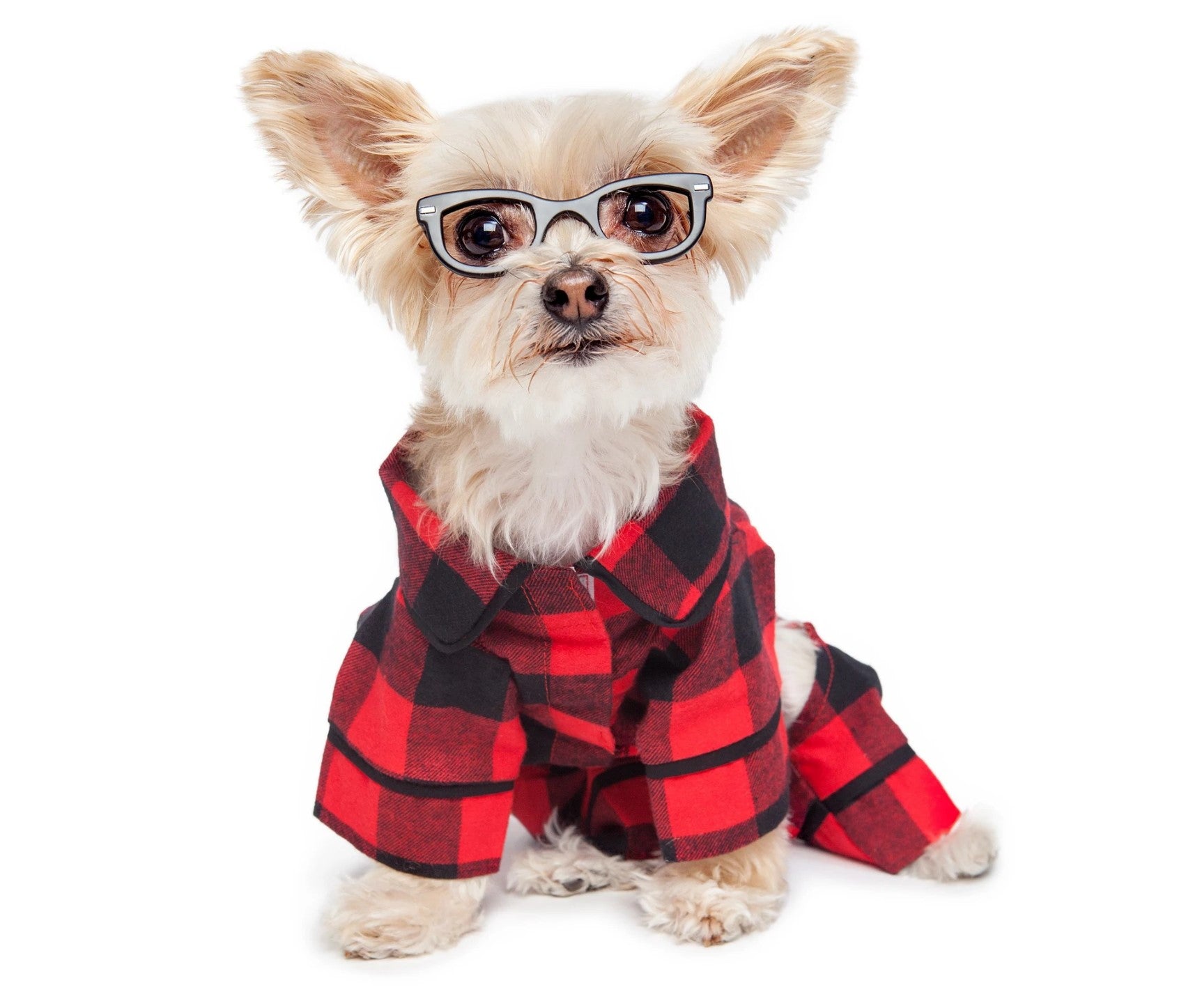 Buffalo Check Dog Pajamas
