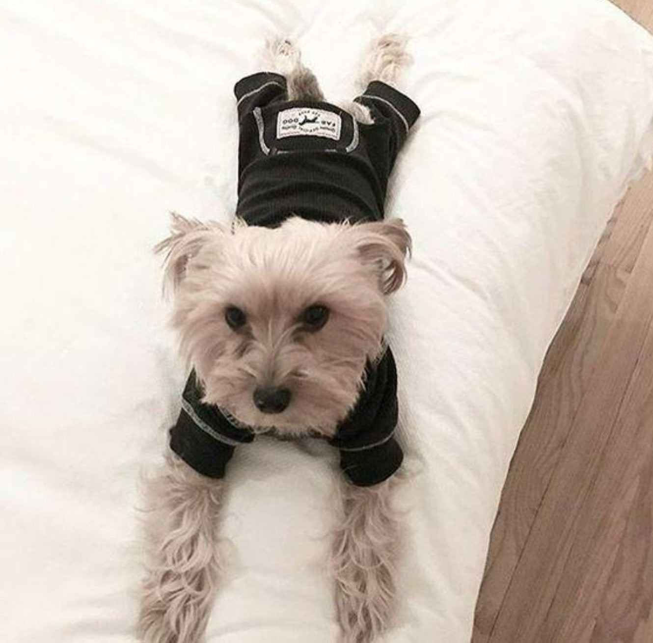 Charcoal Grey Thermal Dog Pajamas