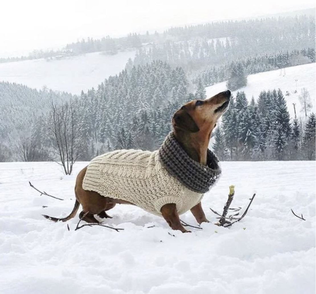 Charcoal Infinity Dog Scarf