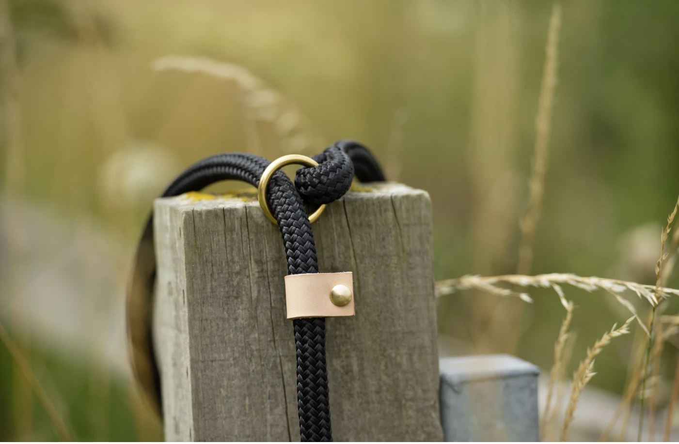 Classic Luxury Slip Dog Lead - 12mm