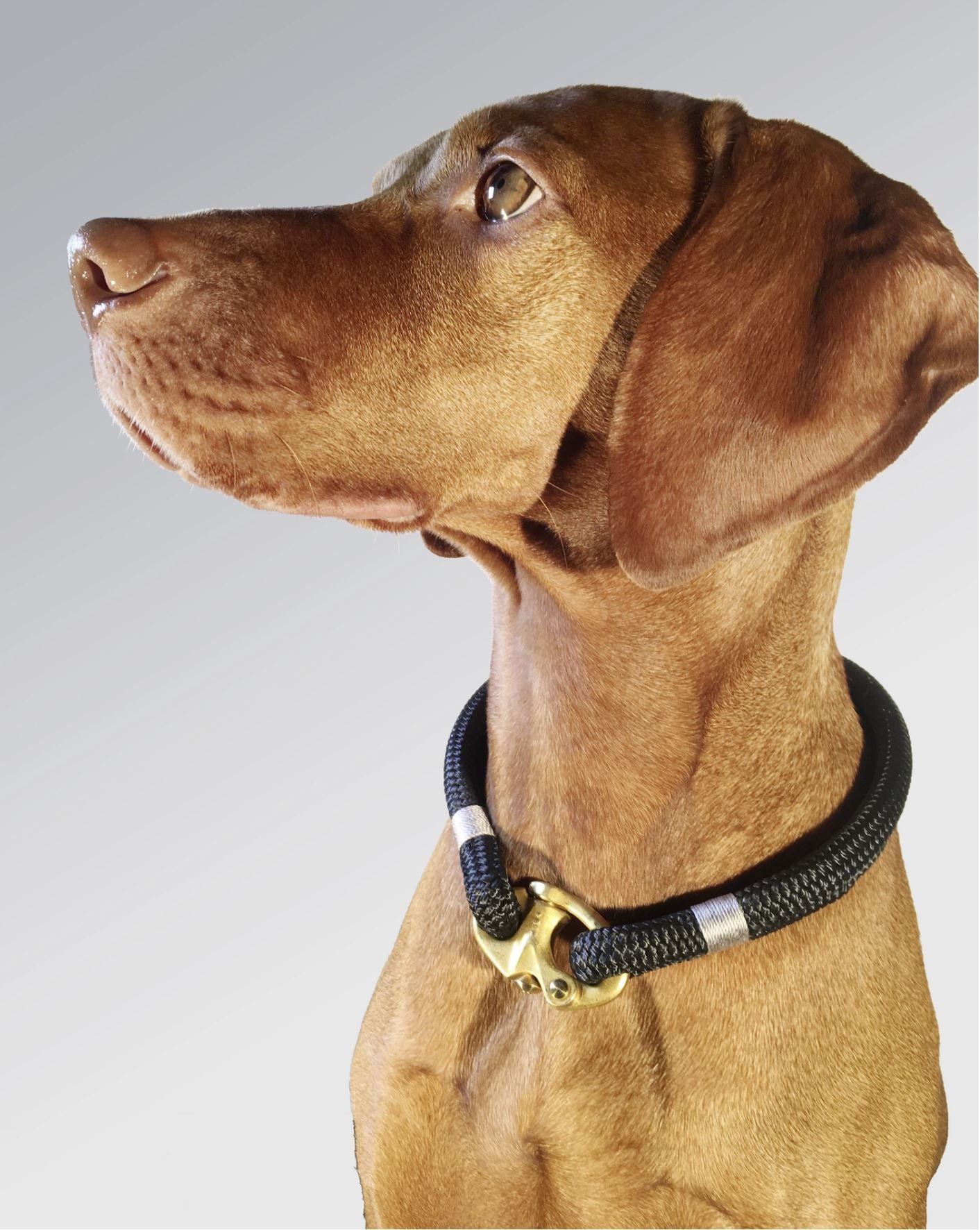 Classic Rope Dog Collar - Silver Birch