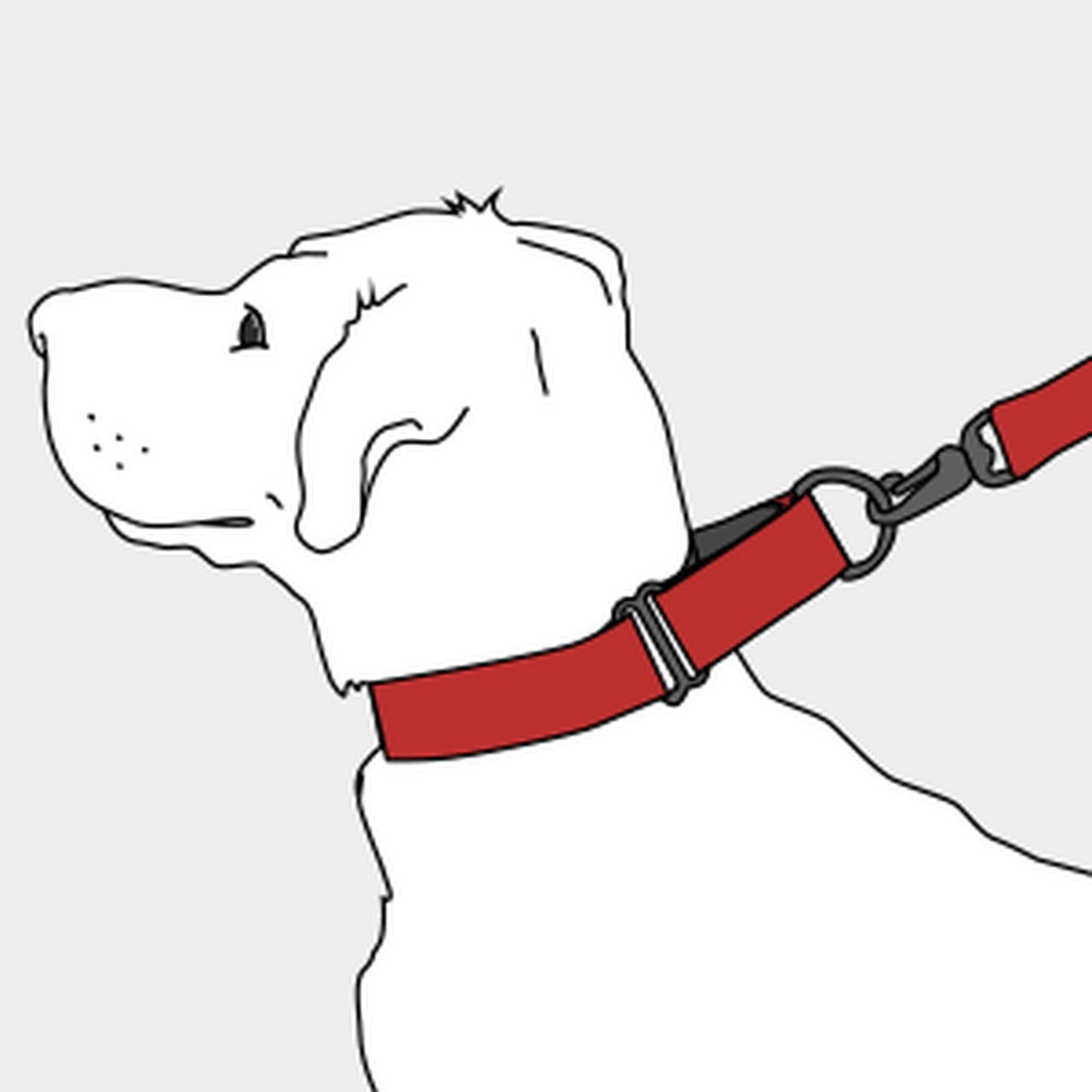 Cody Extra Wide Martingale Dog Collar