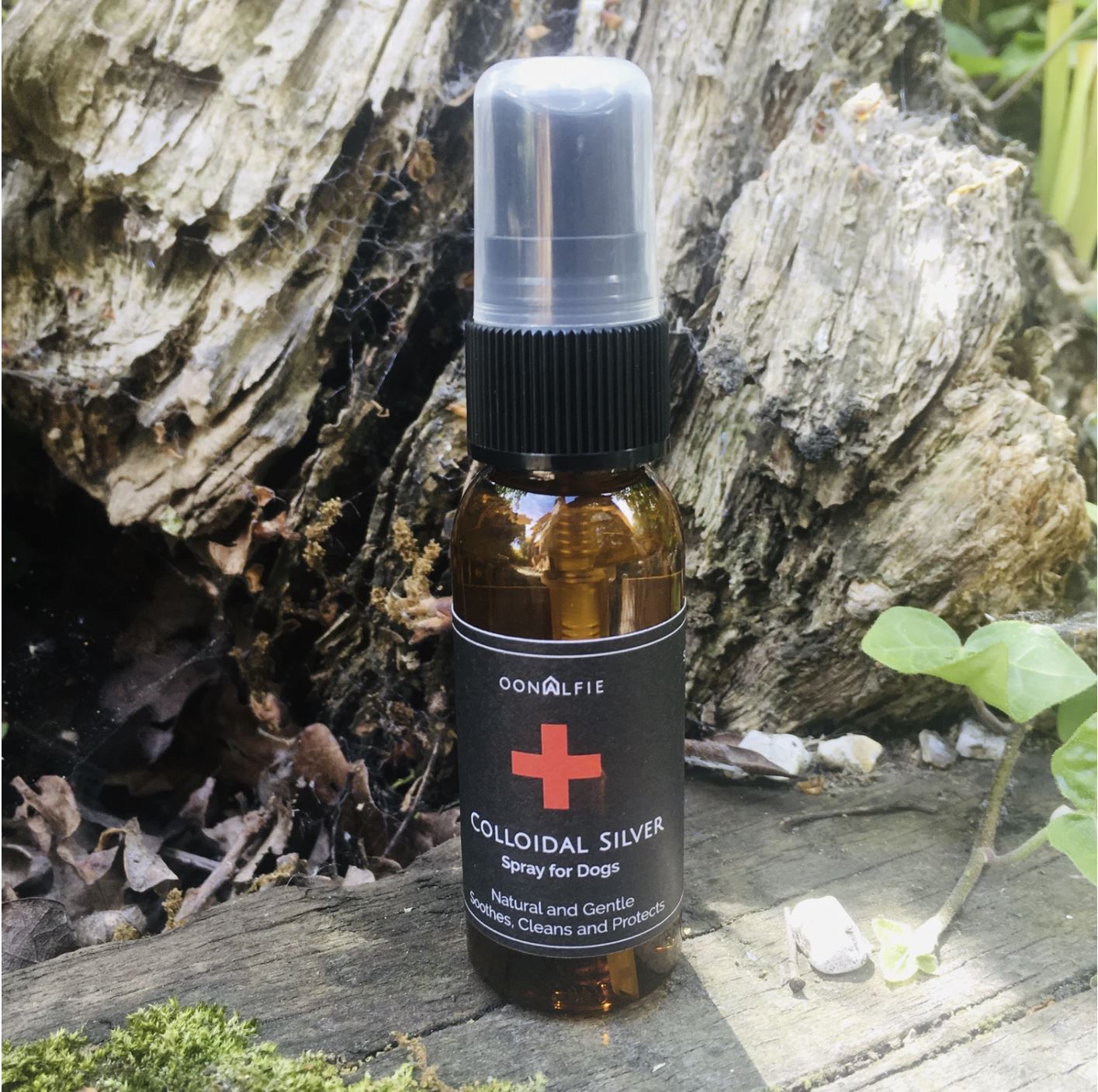 Colloidal Silver Spray for Dogs